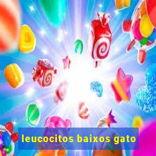 leucocitos baixos gato